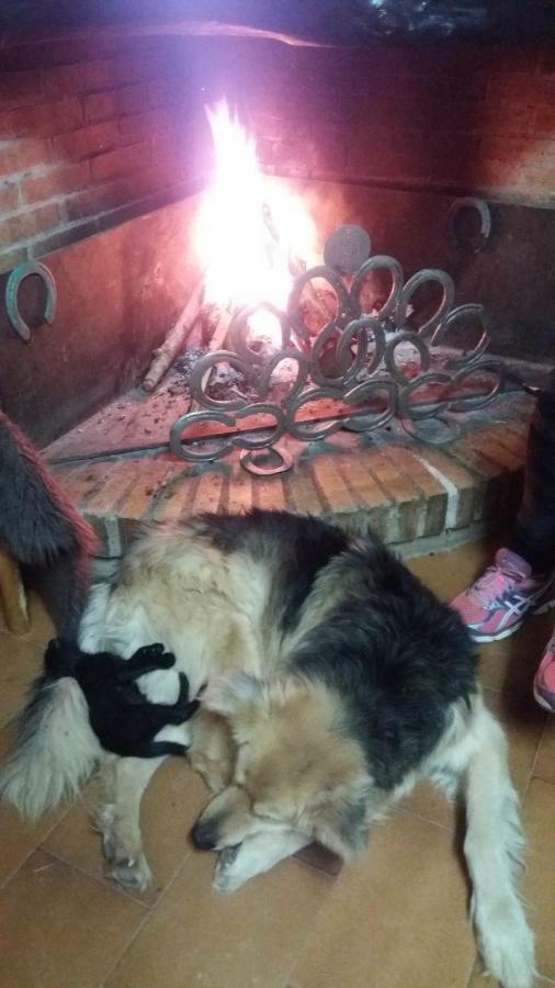 Casa Rural Hipica Mas Paguina L'Estartit Luaran gambar